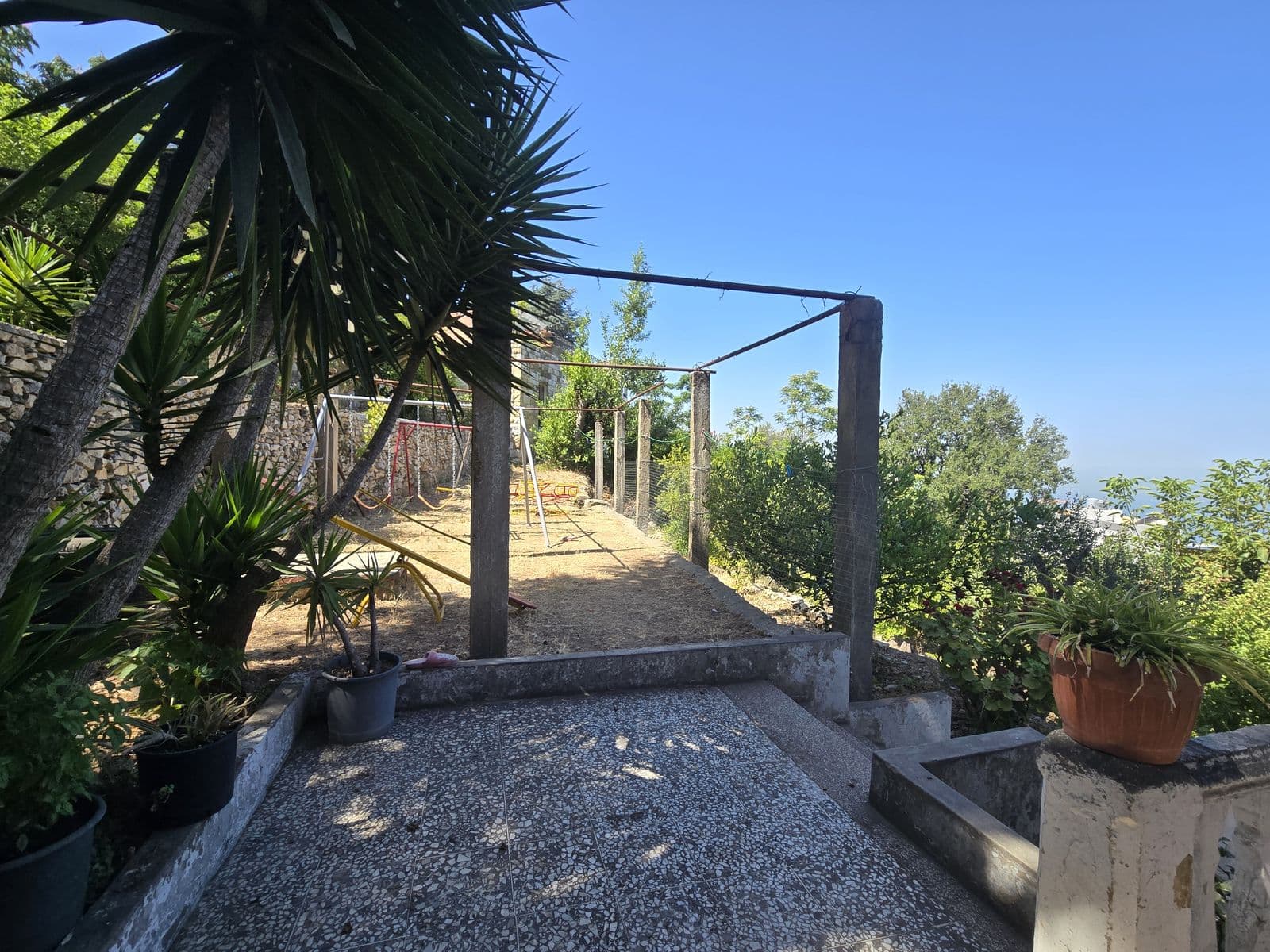 A gravel path under palm trees leads to the Home’s garden, with the sea in the distance.